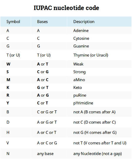 nucleotide codes