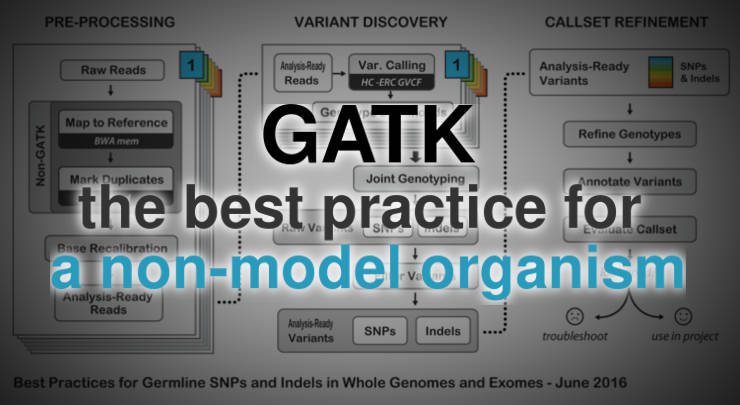 genotype calling non-model organism