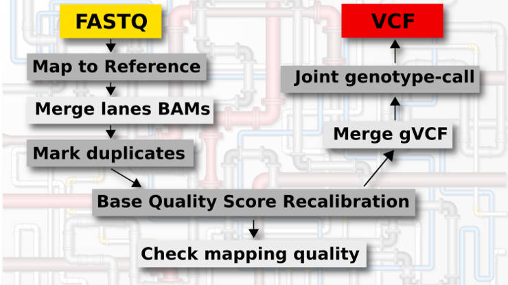 genomic variant calling pipeline