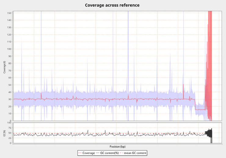 Qualimap plot showing coverage