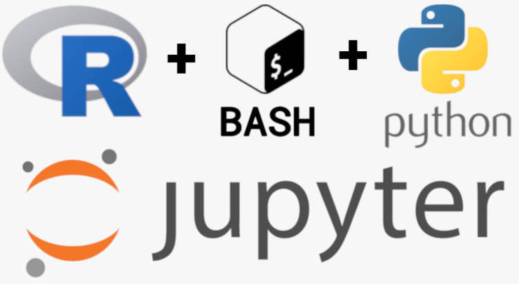 Python, R, Bash in one Jupyter Notebook