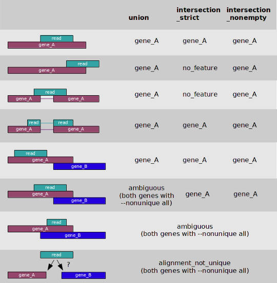 Count reads with htseq-count and the option union