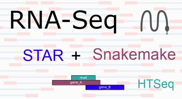 Rna Seq Star Mapping With Snakemake Dmytro Kryvokhyzha